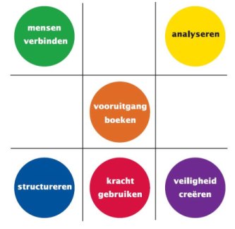 management drives drijfveren kleuren